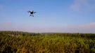 Dron nad bavarskom šumom 