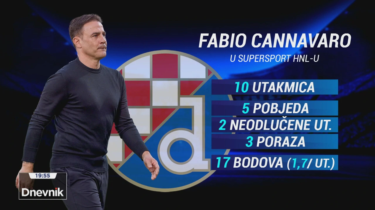 Statistika Fabija Cannavara u Dinamu
