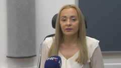 Profesorica s Katedre ustavnog i europskog prava s osječkog Pravnog fakulteta Anita Blagojević