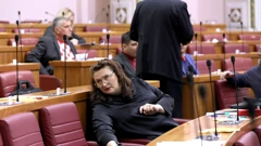 Sjednica Sabora