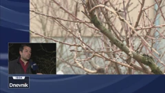 Goran Fruk, Agronomski fakultet Sveučilišta u Zagrebu 