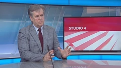 Damir Novotny, ekonomski analitičar