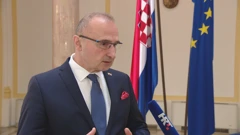 Gordan Grlić Radman