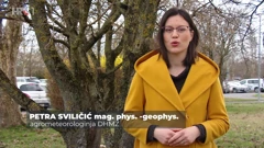 Petra Sviličić