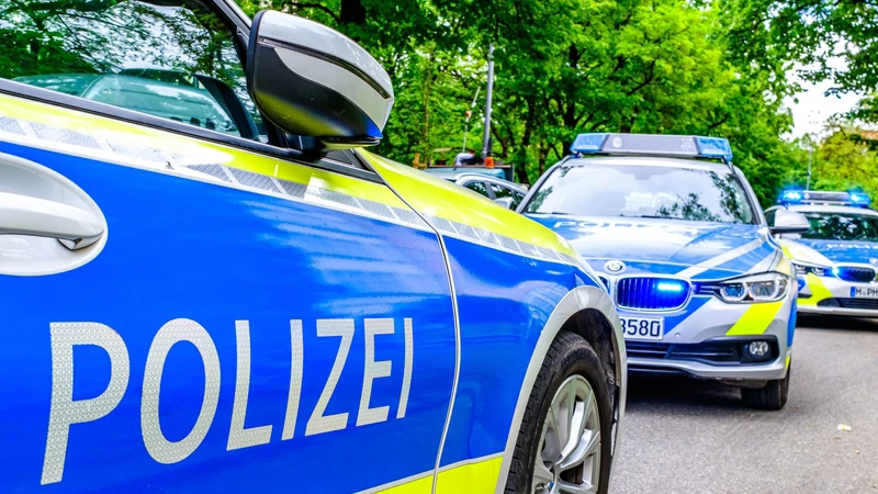 Njemačka: Troje poginulih u padu drveta tijekom traženja pisanica u šumi