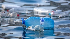 Komadi plastike plutaju nošeni morskim strujama