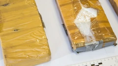 Policija razbila lanac krijumčara kokaina