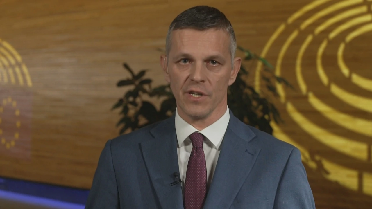 Valter Flego (IDS), zastupnik u Europskom parlamentu