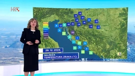 Dunja Plačko-Vršnak
