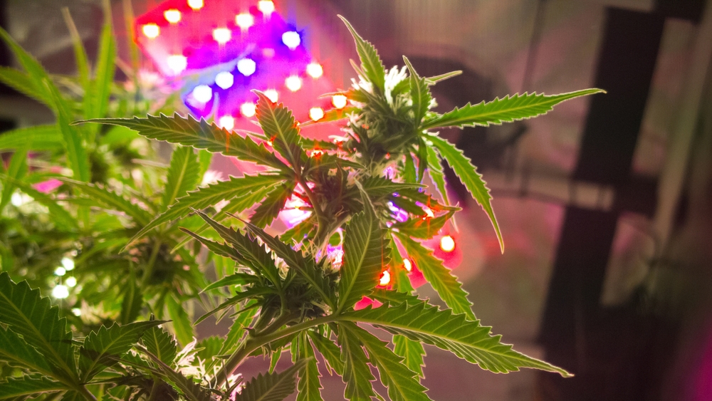 shutterstock 2142401827 20260329121604