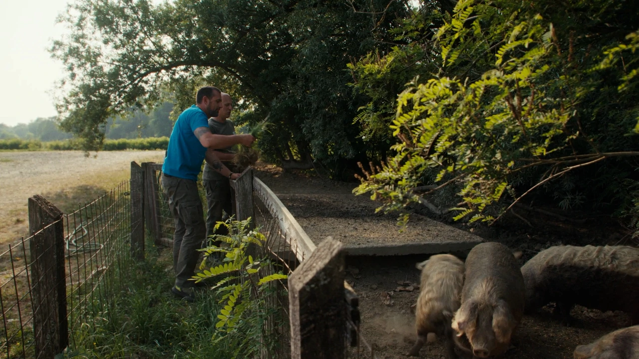 Srijeda, 10. prosinca na Prvom