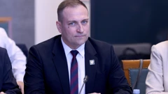 David Vlajčić