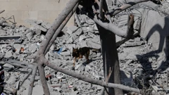 Izrael tvrdi da je Iran prekršio primirje te naredio napade na Teheran