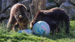 Stanovnicima Zoološkog vrta stigle pisanice , Foto: Sanjin Strukic/PIXSELL