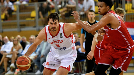 Hrvatska - Danska, Dario Šarić 