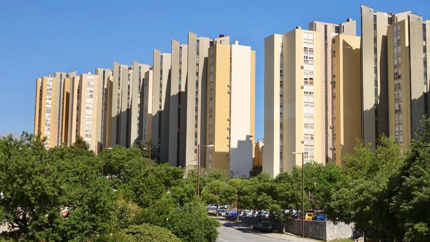 splitzgrad1213 20260430125851
