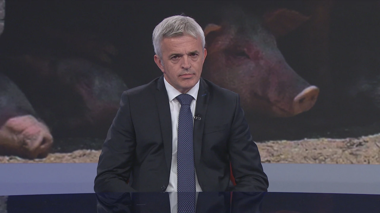 Mladen Pavić, Foto: Otvoreno/HRT