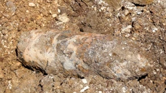 Foto: Armin Durgut  /PIXSELL