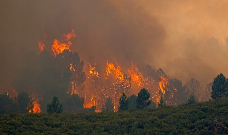 Šumski požari u Španjolskoj još nisu pod kontrolom
