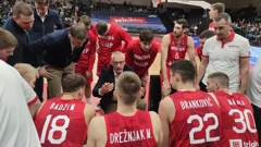 Austrija - Hrvatska. Aco Petrović