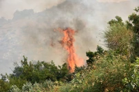 Požar u Župi dubrovačkoj, Foto: Bozo Radic/CROPIX