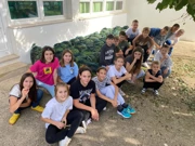 Učenici u berbi u školskom masliniku , Foto: OŠ Bartula Kašića /Radio Zadar