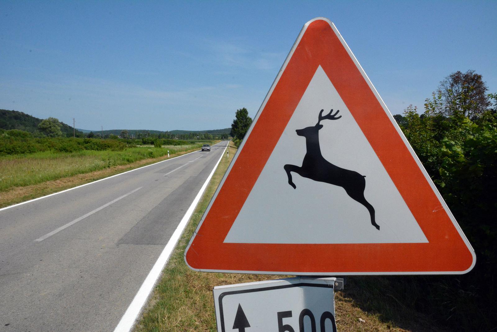 pxl 050719 25280316 20260219114010