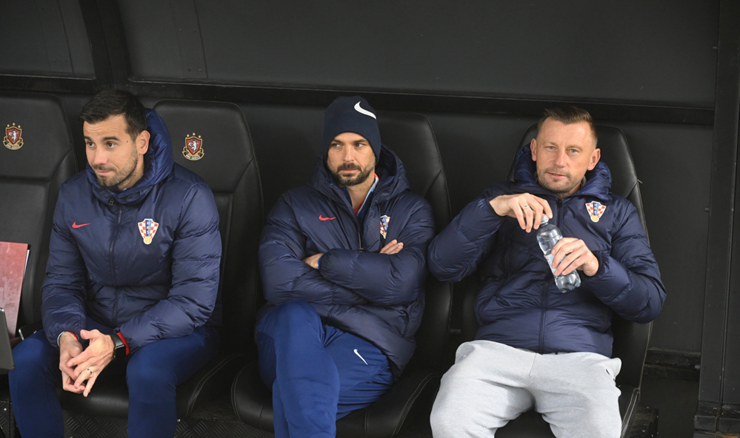 Niko Kranjčar, Ivica Olić