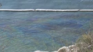 Zagađena plaža u Kostreni 