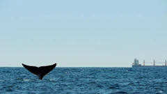 Subota, 13. svibnja na Drugom , Foto: Patagonija - Život na kraju svijeta/dokumentarna serija