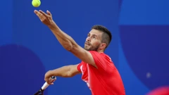 Nikola Mektić