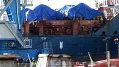 U Rijeku stigli prvi Bradleyji