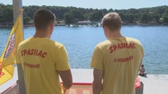 Pulskih spasioci