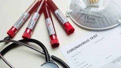 Koronavirus u svijetu