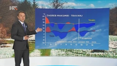 Tomislav Kozarić