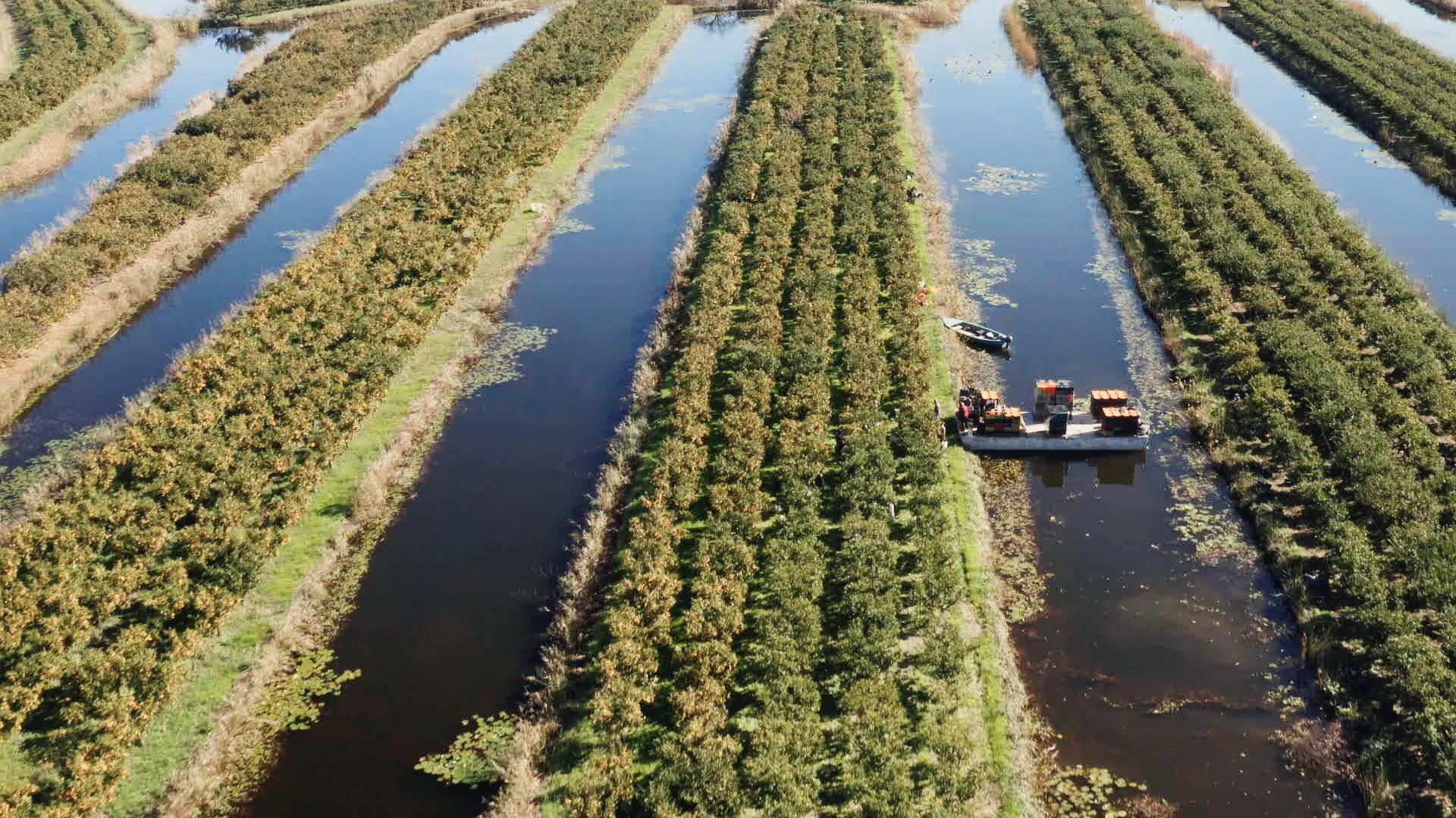Srijeda, 4. veljače na Prvom 