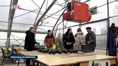 Uzgoj ljekovitog bilja