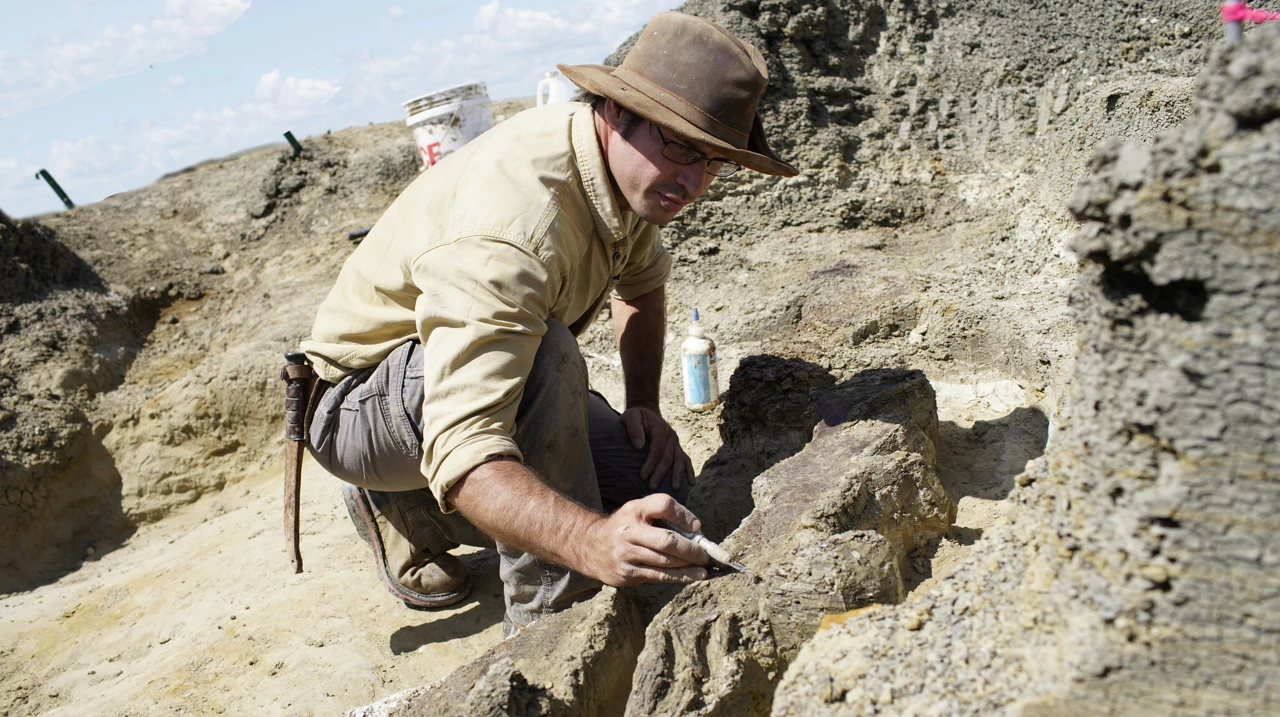 Nedjelja, 12. veljače na Prvom   , Foto: Apokalipsa dinosaura/dokumentarac