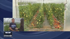 Elementarna nepogoda zbog suše u Bjelovarsko-bilogorskoj županiji