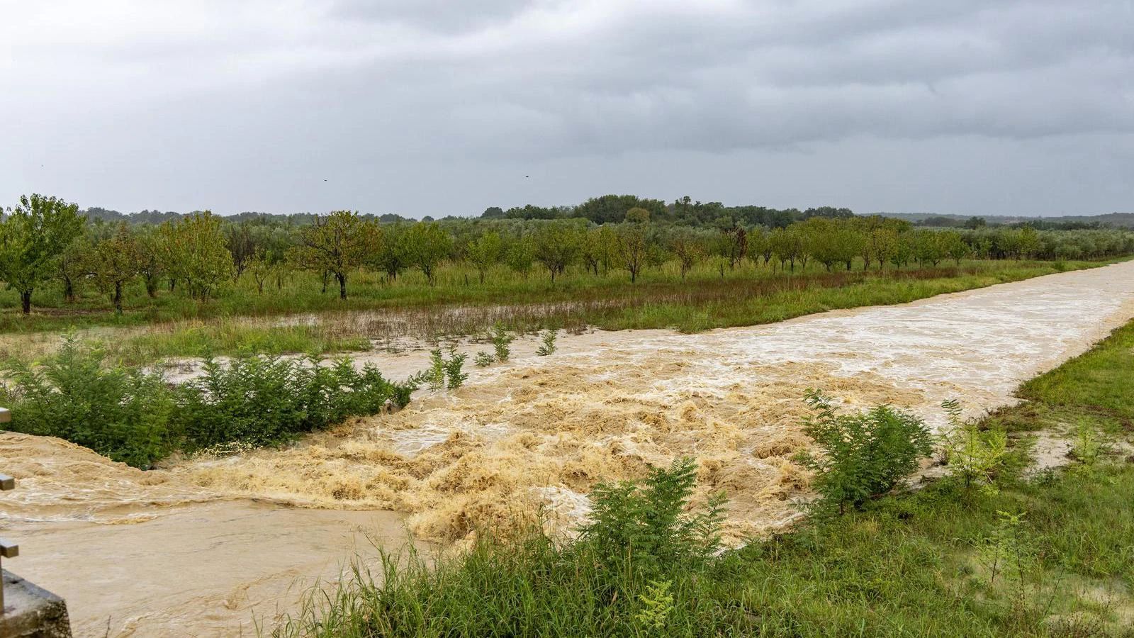 Posljedice nevremena: Vinogradari ne mogu u vinograde, stala berba bijelih sorti