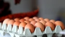 Huevos 