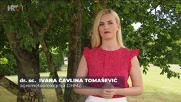 Ivana Čavlina Tomašević