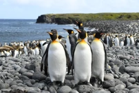 Nedjelja, 19. travnja na Drugom, Foto: Godina na planetu Zemlji/dokumentarna serija