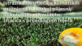 zannstveni projekt