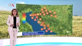 Dunja Plačko-Vršnak
