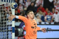 Hrvatska - Češka, Dominik Kuzmanović , Foto: Goran Mehkek/CROPIX