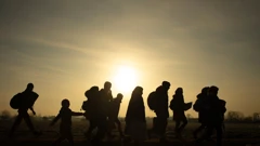 Migranti