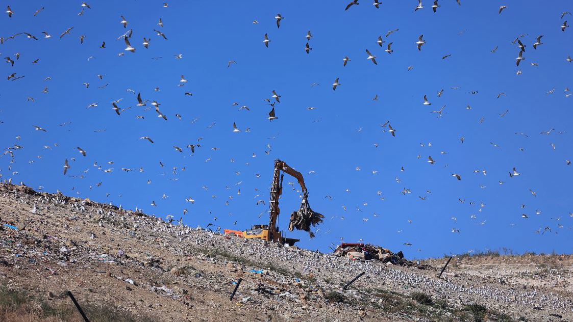 karepovac1231 20260204124217