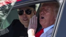 Elon Musk / Donald Trump