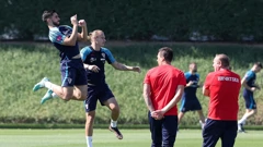 Josip Šutalo, Domagoj Vida